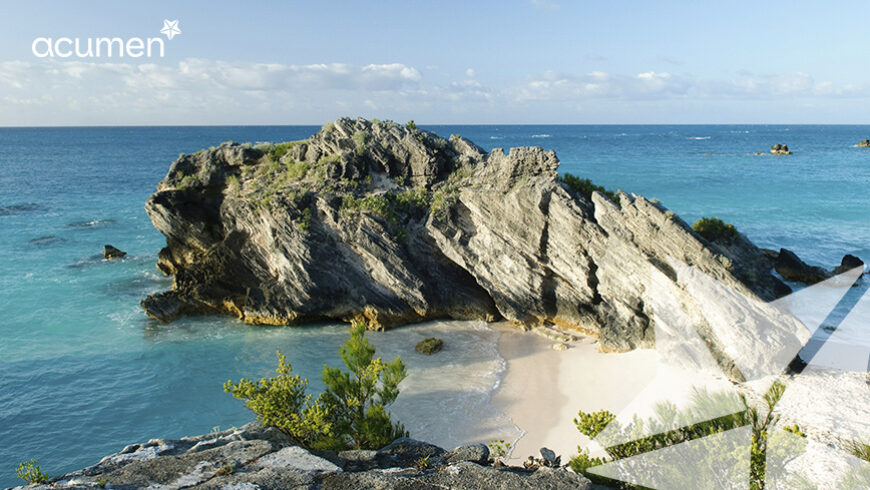Case Study: Actuarial Modeling Support for Bermuda Regulatory Transition and US Resource Constraints